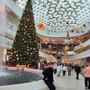 ���������� ����, ���� ����� ���, 23 ����, ������������ ��� ������, ����� � ���������