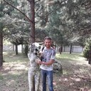 ���������� ������, ���� ������� �����, 37 ���, ������������ ��� ������, ����� � ���������