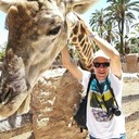 ���������� �����, ���� ������� ����, 44 ����, ������������ ��� ������, ����� � ���������, c�������� ���������