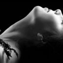 ���������� ����, ���� ������� ���, 49 ���, ������������ ��� ������, ����� � ���������