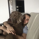  ,   Artem, 29 ,   ,   