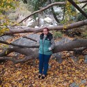 ���������� �����������, ���� ������� ��������, 27 ���, ������������ ��� ����� � ���������, c�������� ���������