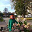  ,   , 48 ,   ,   , c 