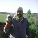  ,   , 51 ,   ,   , c 