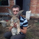 ���������� ������-��-����, ���� ������� ������, 53 ����, ������������ ��� ������, ����� � ���������