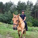 ���������� ������, ���� ������� �������, 36 ���, ������������ ��� c�������� ���������