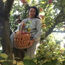 ���������� ������, ���� ������� �����, 62 ����, ������������ ��� ������, ����� � ���������, c�������� ���������, ���������