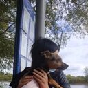 ���������� ���, ���� ������� �����, 23 ����, ������������ ��� ������, ����� � ���������, ���������