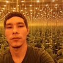 ���������� ����� �����, ���� ������� ���������, 26 ���, ������������ ��� ������, ����� � ���������