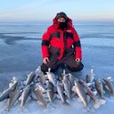 ���������� ������, ���� ������� Roman, 50 ���, ������������ ��� ������, ����� � ���������