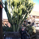 ���������� ������, ���� ������� �����, 30 ���, ������������ ��� ����� � ���������, c�������� ���������