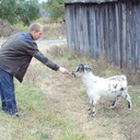 ���������� ����, ���� ������� �����, 46 ���, ������������ 