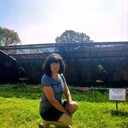  ,   , 53 ,   