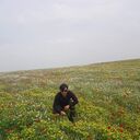 ���������� �������, ���� ������� ABDURASHID, 33 ����, ������������ ��� ������, ����� � ���������