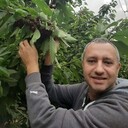  Karmi'el,   , 47 ,     , c 