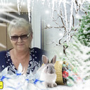  ,   , 67 ,  