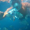  -,   , 38 ,   ,   , c , 