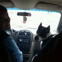 ���������� �����, ���� ������� �����, 41 ���, ������������ ��� ������, ����� � ���������, c�������� ���������, ���������