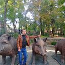 ���������� ���������, ���� ������� ���������, 36 ���, ������������ ��� ������, ����� � ���������