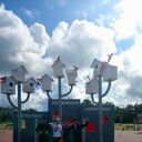 ���������� �����, ���� ������� ����, 40 ���, ������������ ��� ������, ����� � ���������, c�������� ���������