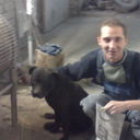 ���������� �����, ���� ������� ������, 42 ����, ������������ ��� ������, ����� � ���������, c�������� ���������