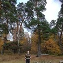  ,   , 73 ,   c 