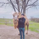 ���������� ������-��-����, ���� ������� ������, 37 ���, ������������ ��� ������, ����� � ���������