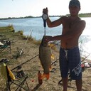  ,   Denis, 37 ,     , c , 