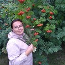  ,   , 44 ,   c , 