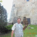  ,   , 51 ,     , c 