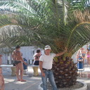  ,   , 59 ,   