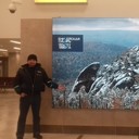  -,   Albert, 43 ,   ,   , c 
