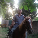 ���������� �������, ���� ������� Shox, 38 ���, ������������ ��� ������, ����� � ���������, c�������� ���������