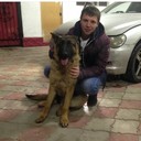 ���������� ������, ���� ������� Denchick, 35 ���, ������������ ��� ������, ����� � ���������, c�������� ���������, ���������