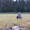 ���������� ����������, ���� ������� ��������, 41 ���, ������������ ��� ������, ����� � ���������