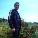 ���������� ���������, ���� ������� �������, 43 ����, ������������ ��� ����� � ���������, c�������� ���������