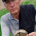  ,   , 50 ,   ,   