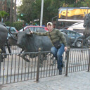 ���������� ���������, ���� ������� ����, 43 ����, ������������ ��� ������, ����� � ���������