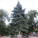 ���������� �����, ���� ������� ����, 33 ����, ������������ ��� ����� � ���������, c�������� ���������