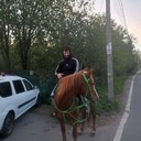  -,   , 35 ,   ,   