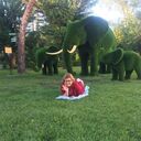 ���������� ��������, ���� ������� ��������, 60 ���, ������������ ��� ������, ����� � ���������