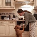 ���������� ������, ���� ������� ��������, 23 ����, ������������ ��� ������, ����� � ���������