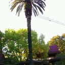 ���������� ������, ���� ������� Niko, 50 ���, ������������ ��� ����� � ���������, c�������� ���������