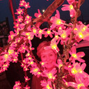 ���������� ������, ���� ������� �����, 62 ����, ������������ ��� ����� � ���������, c�������� ���������