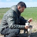 ���������� ������, ���� ������� ����, 40 ���, ������������ ��� ������, ����� � ���������, c�������� ���������