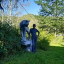 ���������� ����-���������, ���� ������� �����, 45 ���, ������������ ��� ������, ����� � ���������