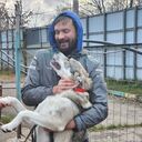 ���������� ������������, ���� ������� ��������, 43 ����, ������������ ��� ������, ����� � ���������, c�������� ���������