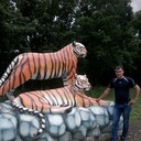 ���������� �����������, ���� ������� ����, 33 ����, ������������ ��� ������, ����� � ���������, c�������� ���������