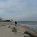 ���������� ������������, ���� ������� ��������, 51 ���, ������������ 