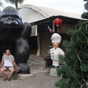 ���������� ������, ���� ������� �����, 67 ���, ������������ ��� ������, ����� � ���������